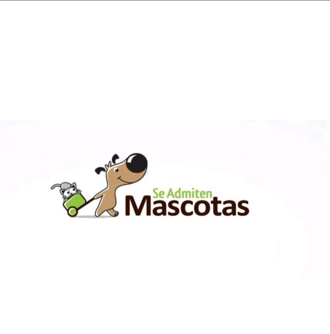 Appartamento Camino De La Sierra Mascotas Si La Zubia  Esterno foto